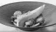 Krokant geroosterde Mechelse koekoek met grotchampignons, witte pens en jus van Oude Geuze